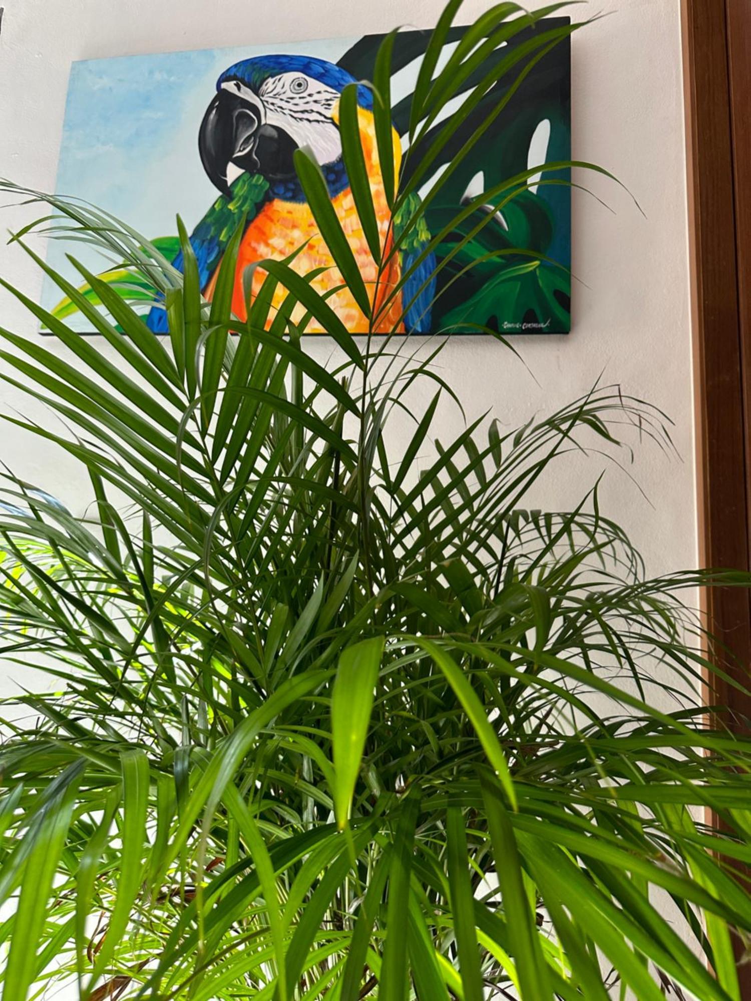 Apartamento Oasis Urban Retreat Cancún Exterior foto